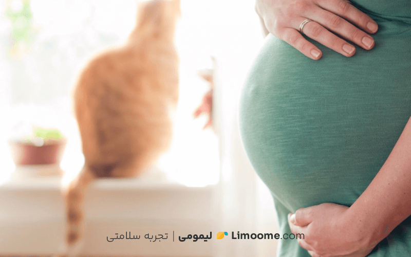 در دوران بارداری از گربه دوری کنید