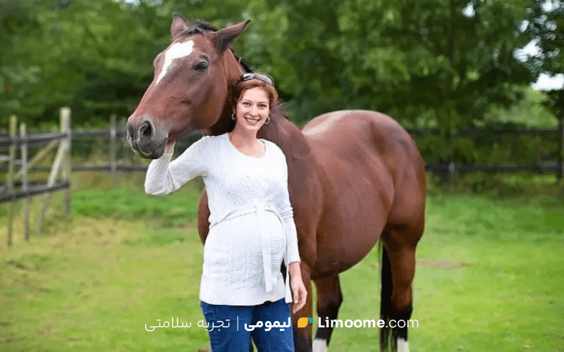 اسب سواری در دوران بارداری
