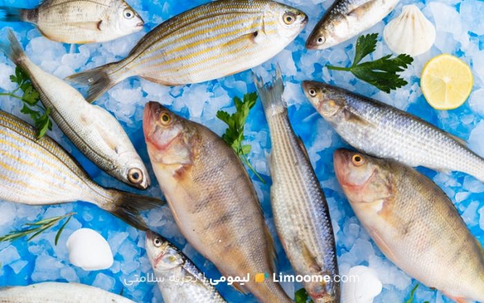 خوشمزه‌ترین انواع ماهی شمال ایران که باید بشناسید