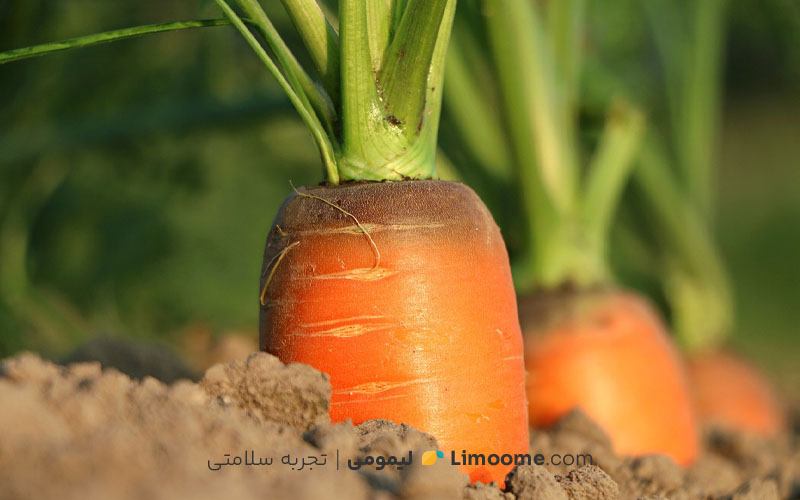 خواص هویج چیست؟